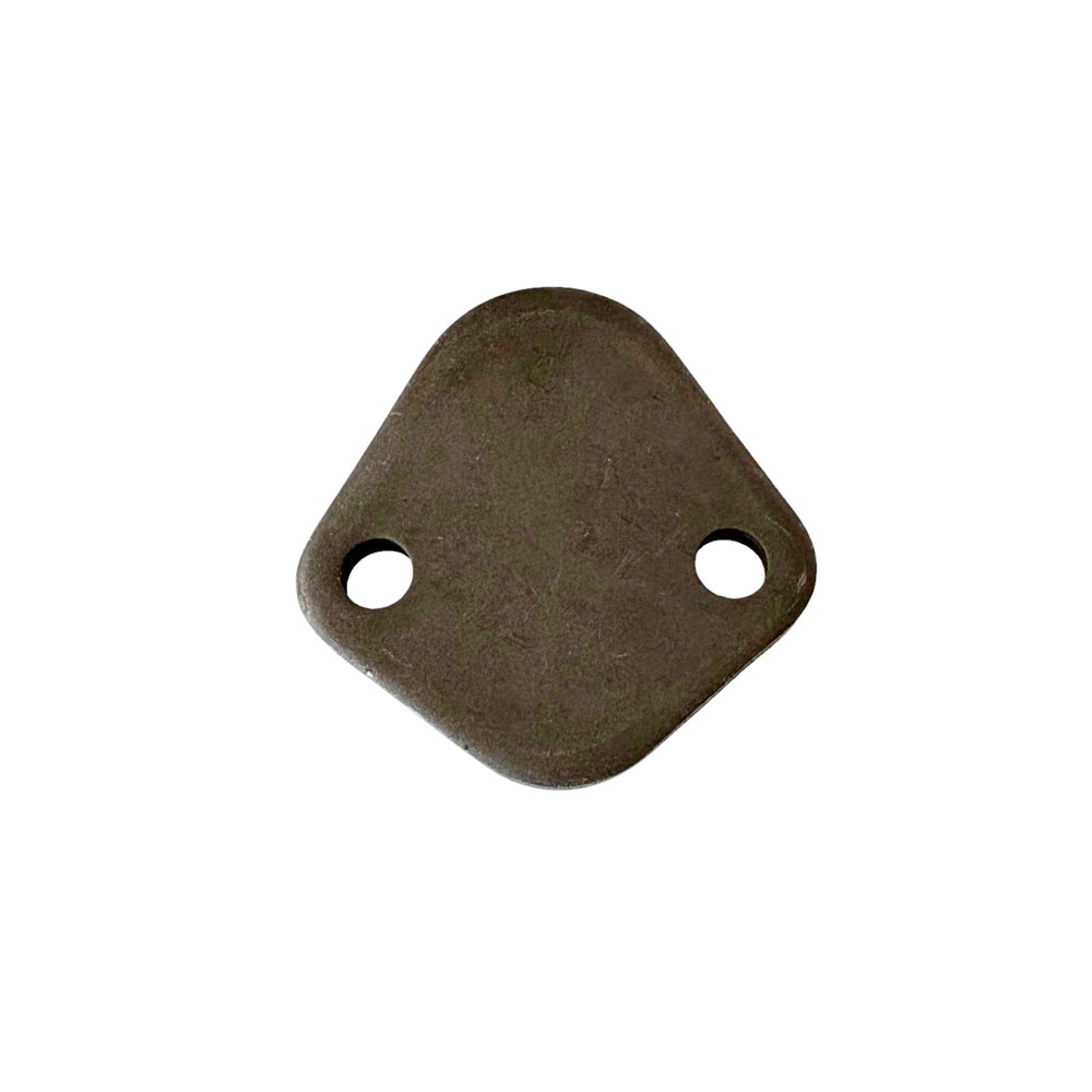 Fuel Pump Aperture Blanking Plate 610030
